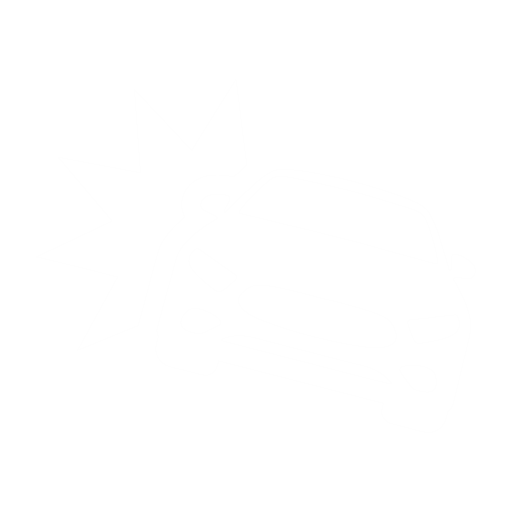 Car Icon